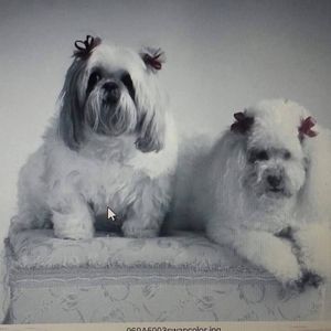 Meet your Posher, Colton